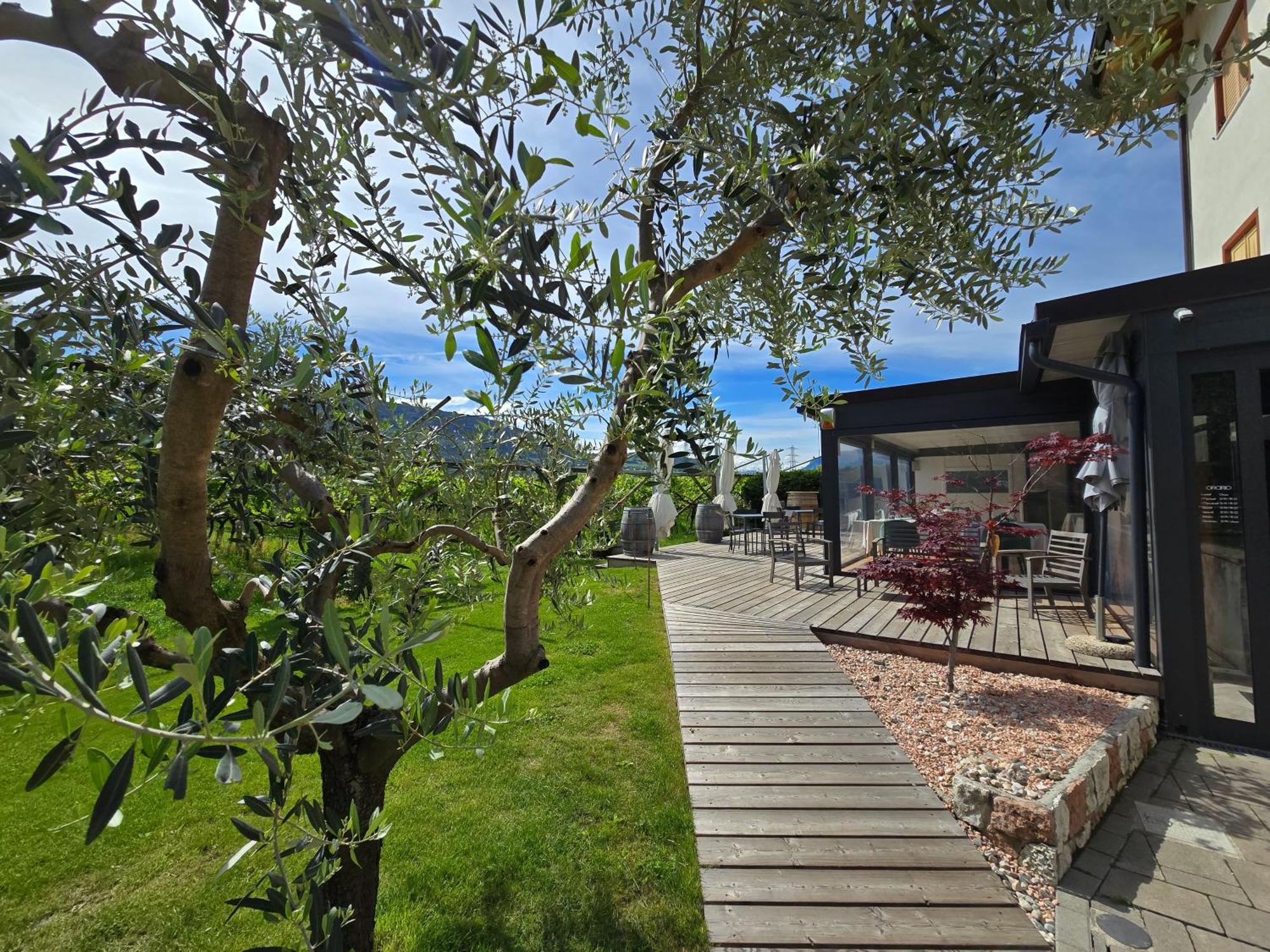 Antico Fienile Agritur Villa Mezzocorona Ngoại thất bức ảnh