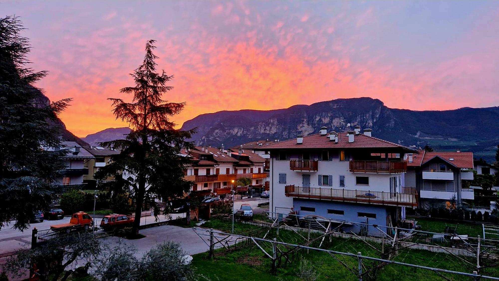 Antico Fienile Agritur Villa Mezzocorona Ngoại thất bức ảnh