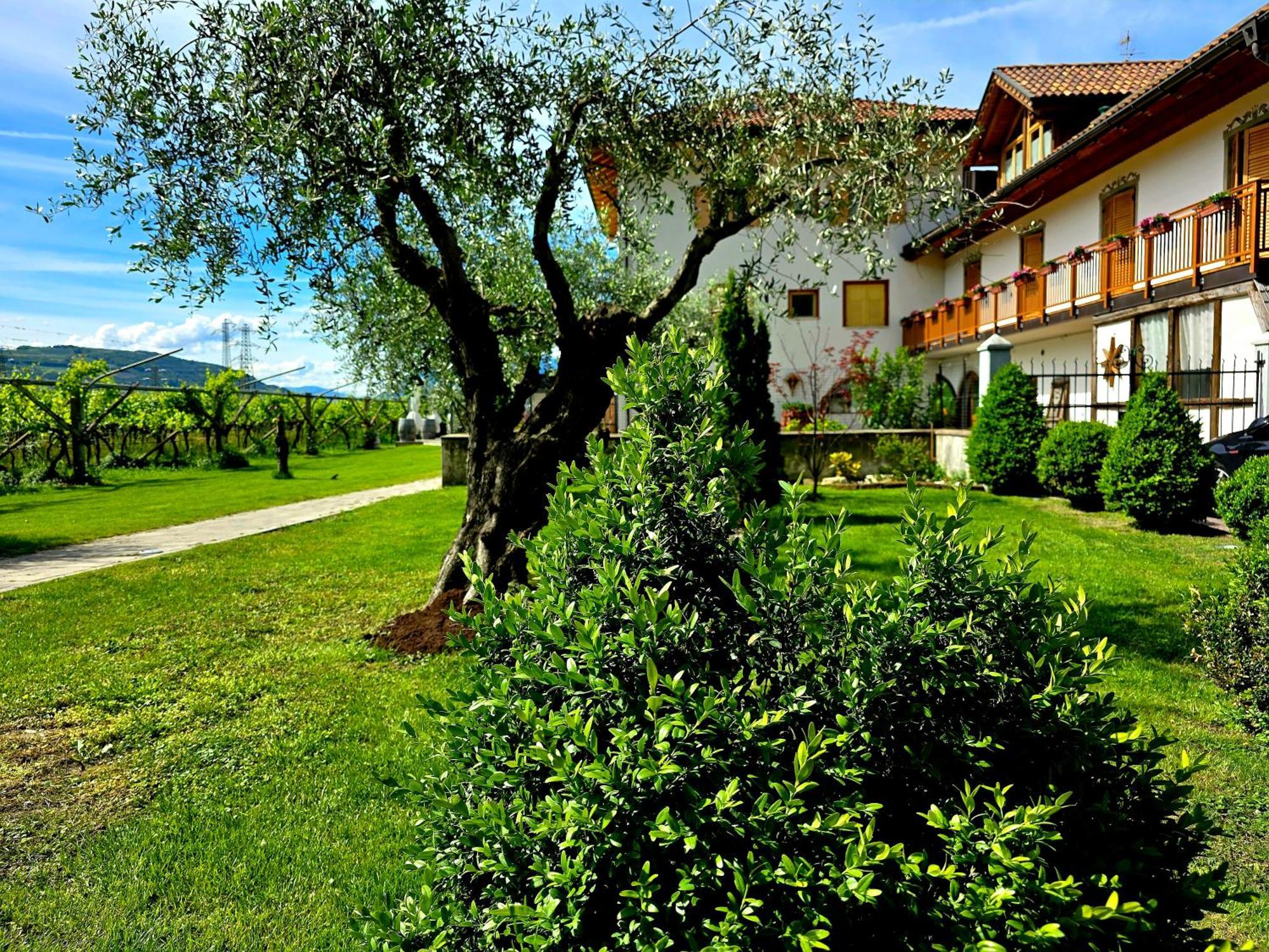 Antico Fienile Agritur Villa Mezzocorona Ngoại thất bức ảnh