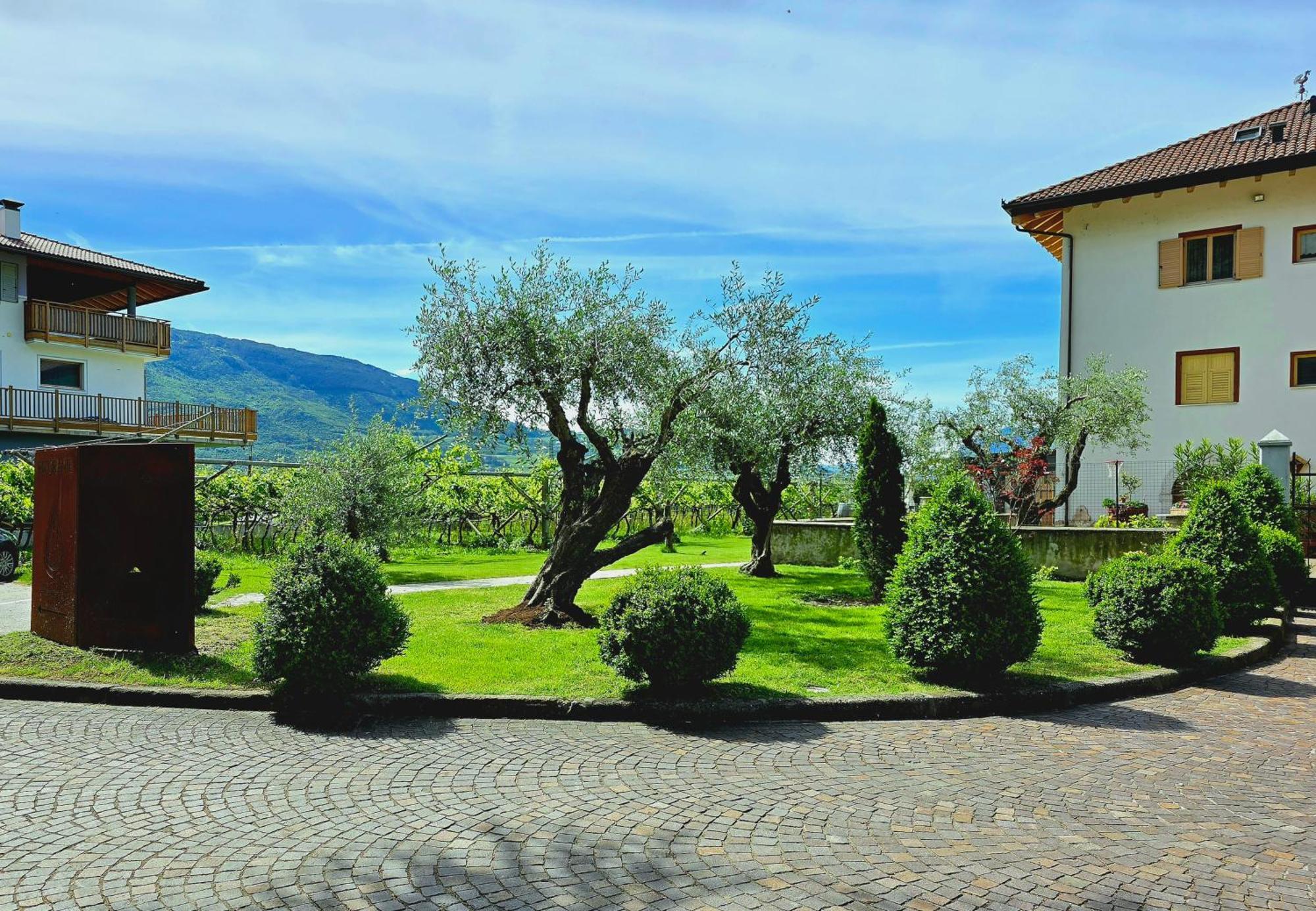 Antico Fienile Agritur Villa Mezzocorona Ngoại thất bức ảnh